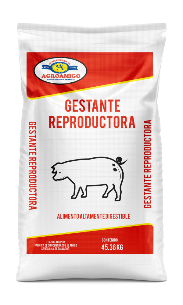 Mockup_Agroamigo cerdo