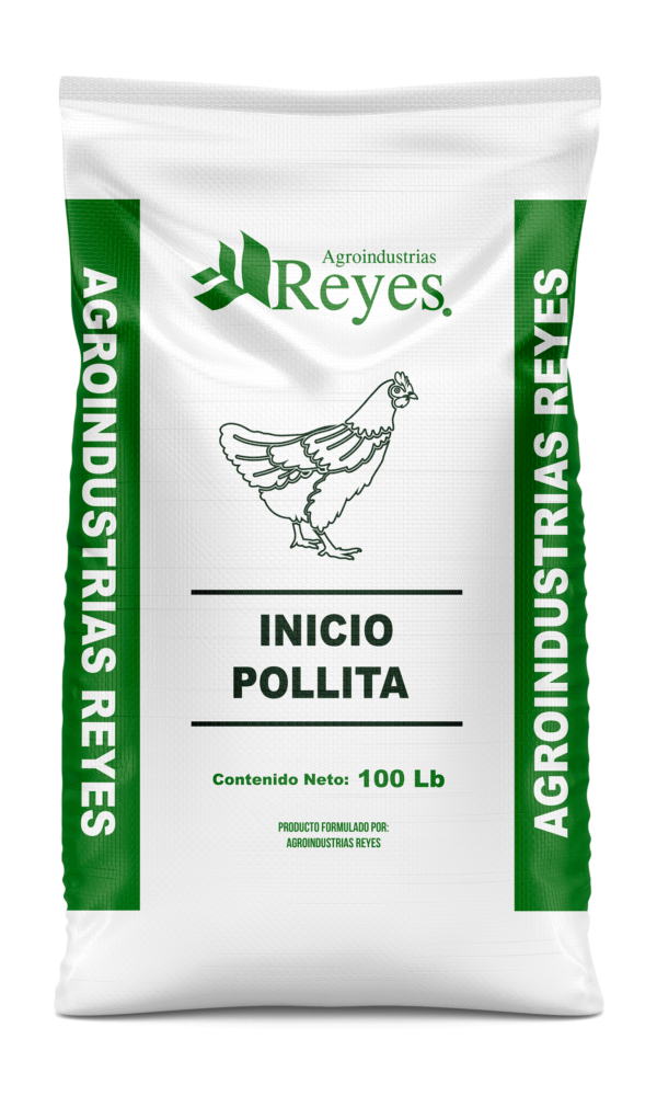 Mockup_Agroindustrias Reyes pollita