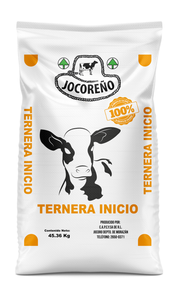 Mockup_Jocoreno